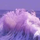 @lilynjesh