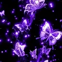 @butterflies0015