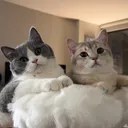 @louieandtodd