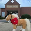 @wpes_pto