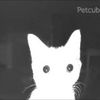 petsoftiktok85