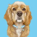 @remy.the.spaniel