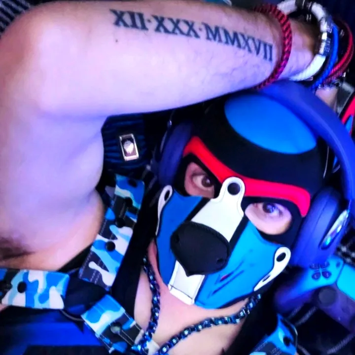 pupboltblue23