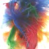 kiwilife247
