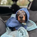 @dibblydobbly_dax