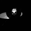 darkscentkah