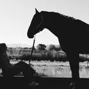 @marlie_rae_rodeo