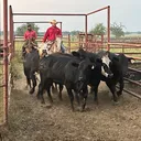 @easttxcowboy0