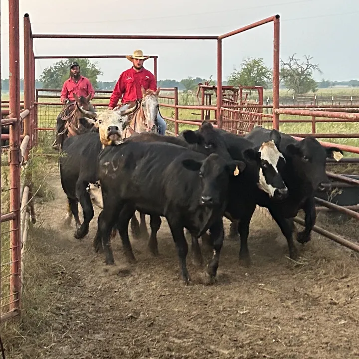 @easttxcowboy0