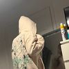 cabbage_sol