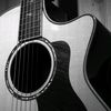nhackhongloiguitar