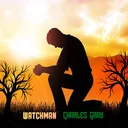 @watchman.charlesgray