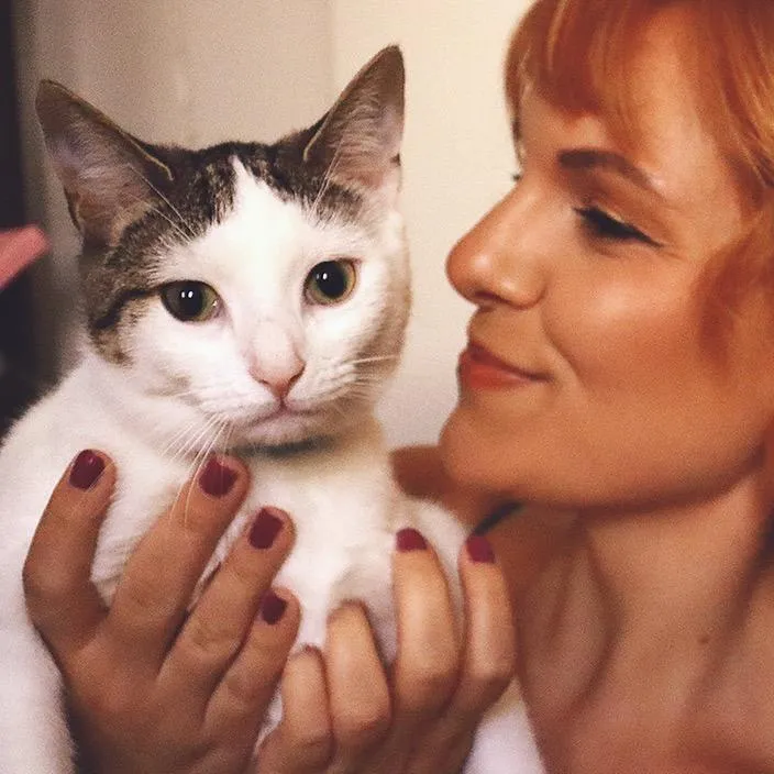 @novasthecat