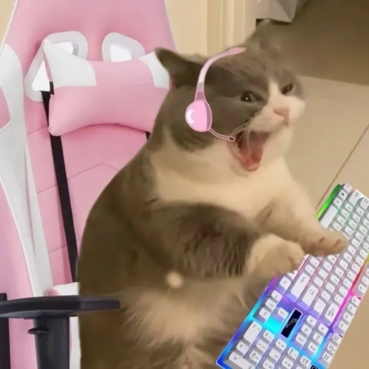 krabbyypattyyy