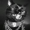 kissmeimevil