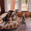 @colorado.mountain.crew
