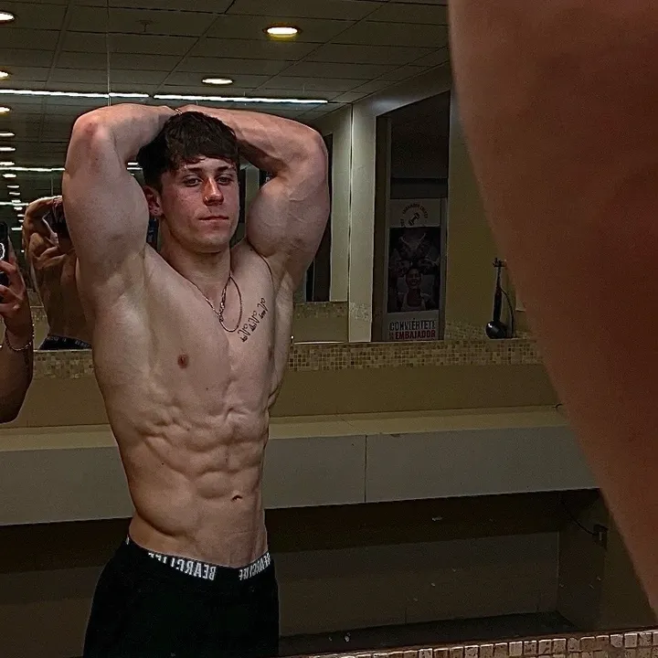 @brunoseefeldt_