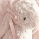 @deardiorleey