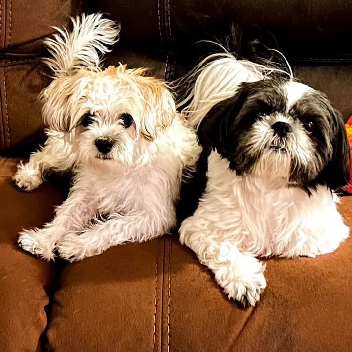 @livinlifewithsugieandson
