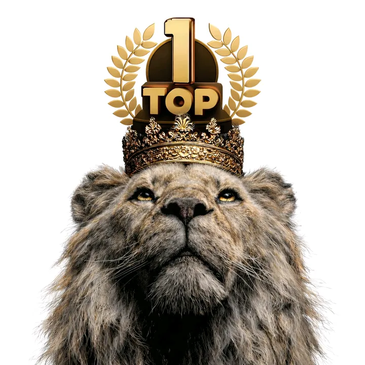 top.top4968