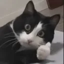 @oootikxtokooo