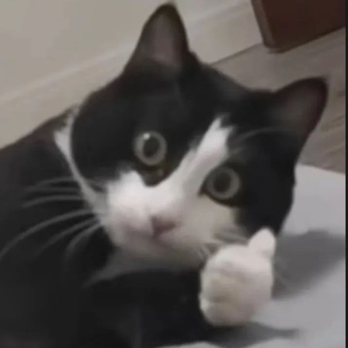 @oootikxtokooo