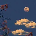 @changeyor