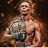 ufc_chipz