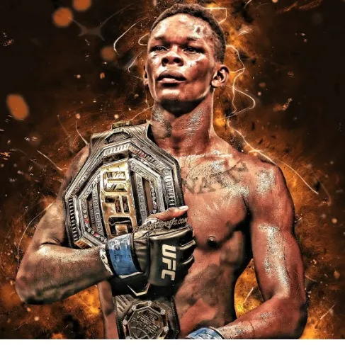 ufc_chipz