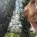 @alfiee.01