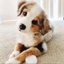 @charli.._tayfanpage1010