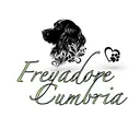@freyadore