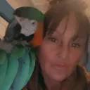 @kerryandrocky