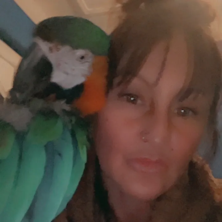 kerryandrocky