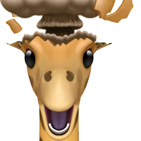 hhfdghyyytttyyy7yfff