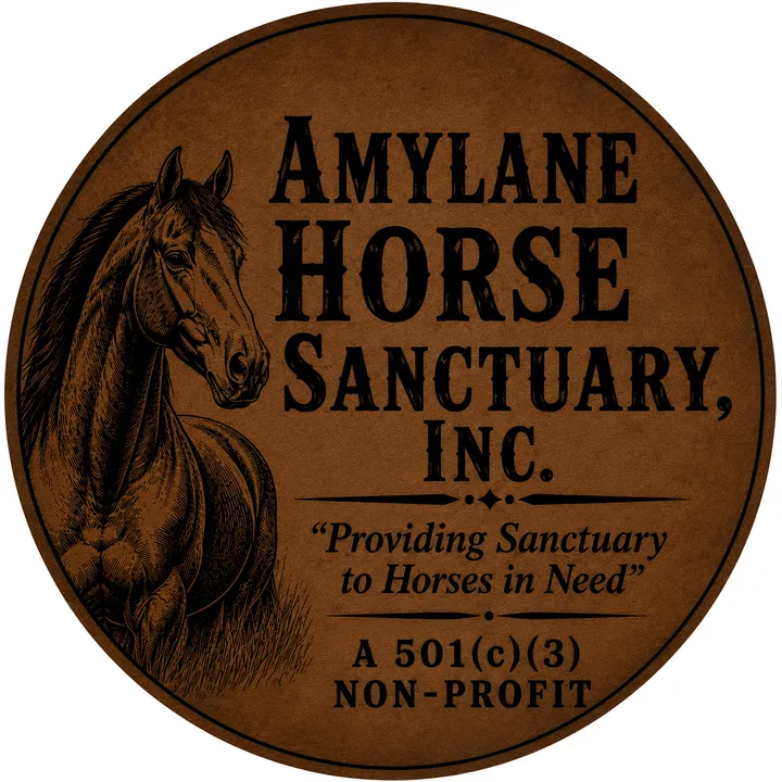 @amylanehorsesanctuary