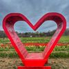 loveis1221