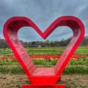 @loveis1221