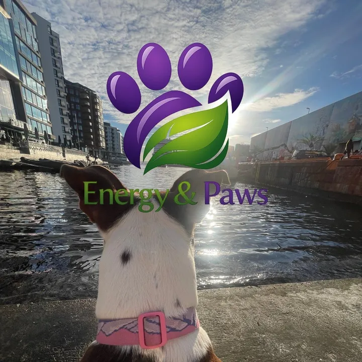 britney.paws