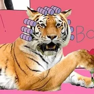 therealgarfield