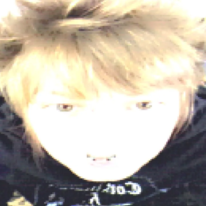 rudimentary_feni