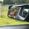 equine.s.2022