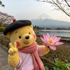theplushcollector1