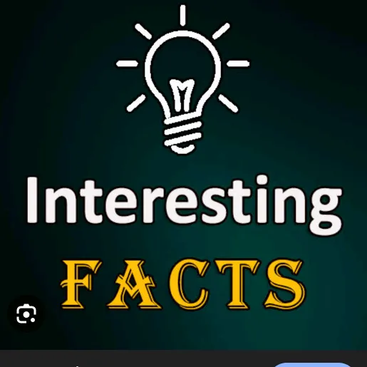 information.facts04