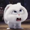 @nntkdpss