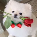 @lilianos19