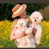 ukpetsproducts