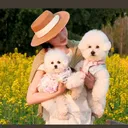 @ukpetsproducts