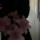 @milana5037