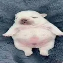 @gz_lift